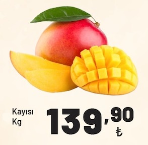 Kayısı Kg