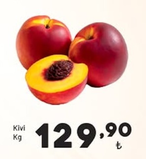 Kivi Kg
