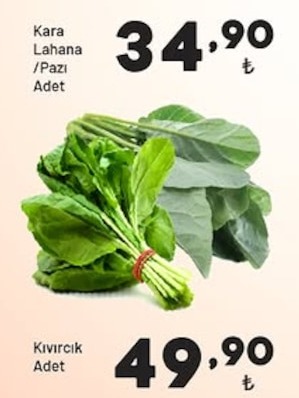 Kara Lahana/Pazi Adet