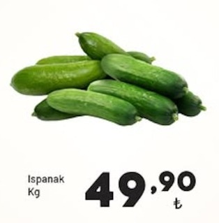 Ispanak Kg