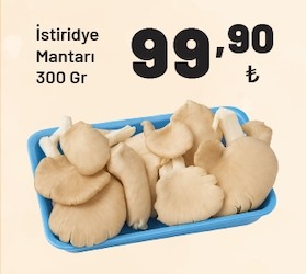 İstiridye Mantarı 300 Gr