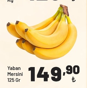 Yaban Mersini 125 Gr