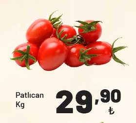 Patlıcan Kg