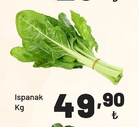 Ispanak Kg