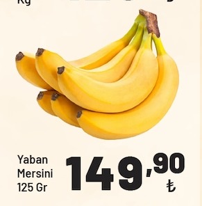 Yaban Mersini 125 Gr