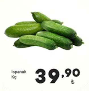Ispanak Kg