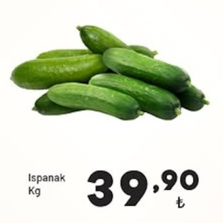 Ispanak Kg