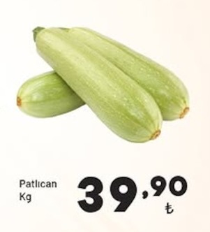 Dolma/Köy Biber Kg
