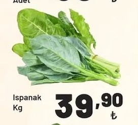 Ispanak
Kg