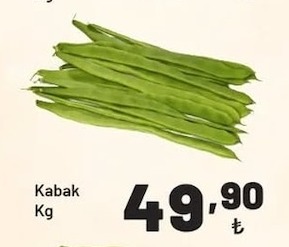 Kabak Kg