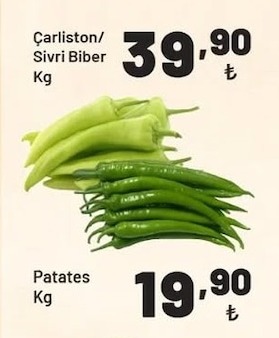 Çarlston/Sivri Biber Kg