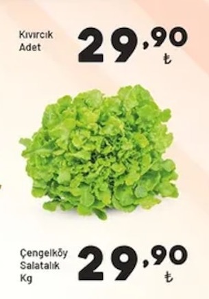 Çengelköy Salatalık Kg