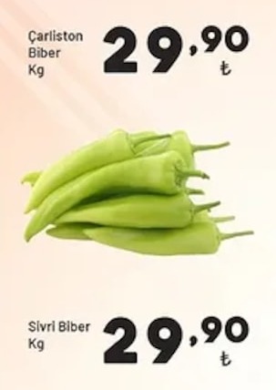 Çarliston Biber Kg