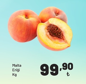 Malta Eriği Kg