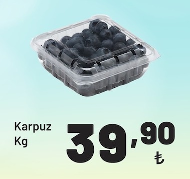 Karpuz Kg