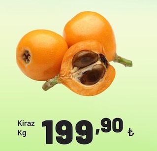Kiraz Kg