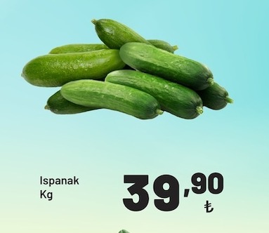 Ispanak Kg