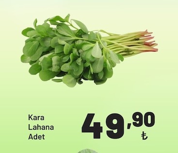 Kara Lahana Adet