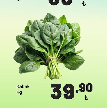 Kabak Kg