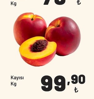 Kayısı Kg
