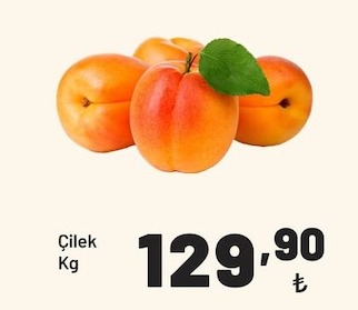 Çilek Kg