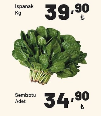 Ispanak Kg