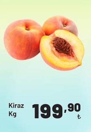 Kiraz Kg