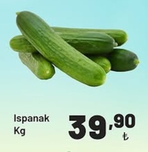 Ispanak Kg