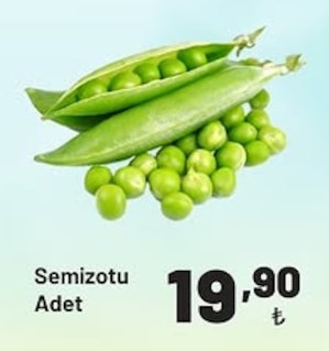 Semizotu Adet