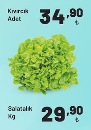Kıvırcık Adet