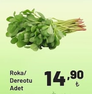 Roka/Dereotu Adet