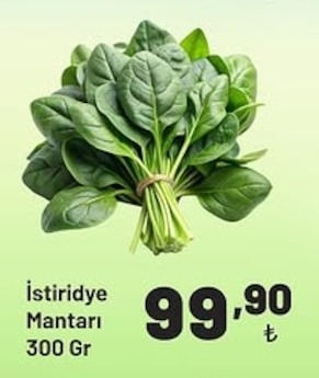 İstiridye Mantarı 300 Gr