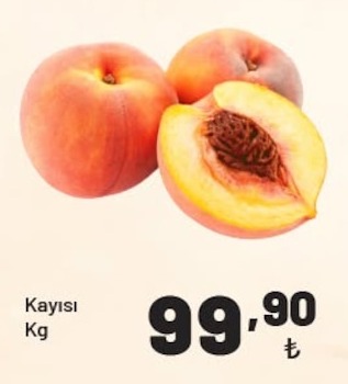 Kayısı Kg