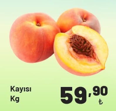 Kayısı Kg