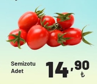 Semizotu Adet