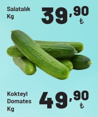 Salatalik Kg