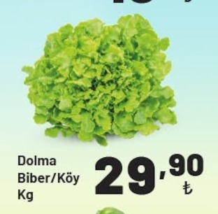 Dolma Biber/Köy Kg