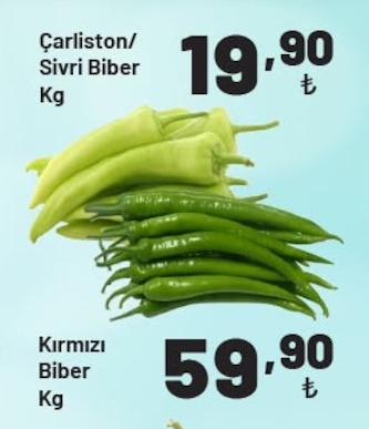 Çarliston/Sivri Biber Kg