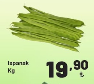 Ispanak Kg