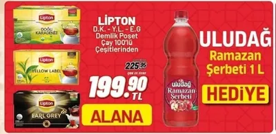 Lipton D.K. - Y.L. - E.G Demlik Poşet Çay 100'Lü Çeşitlerinden
