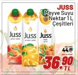 Juss Meyve Suyu Nektar 1 L Çeşitleri