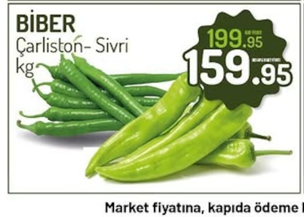 Biber Çarleston- Sivri Kg