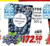 Lapestos Donuk Yaban Mersini 300 G