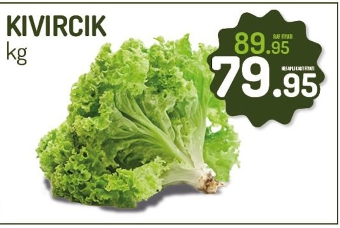 Kıvırcık Kg