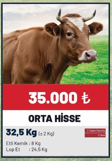 Orta Hisse 32.5 Kg
