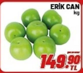 Erik Can Kg
