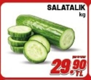 Salatalik Kg