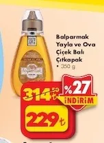 Balparmak Yayla Ve Ova Çiçek Balı Çıtkapak 350 G