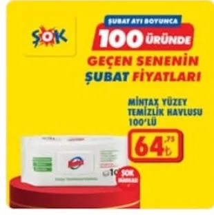 Mintax Yüzey Temizlik Havlusu 100'Lü