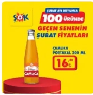 Çamlıca Portakal 200 Ml